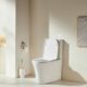 Tornado Toilet Suit -1