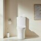 Tornado Toilet Suit - 6