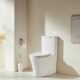 Tornado Toilet Suit_